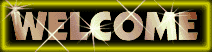 7.gif (8944 bytes)